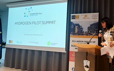 Hydrogen Pilot Summit